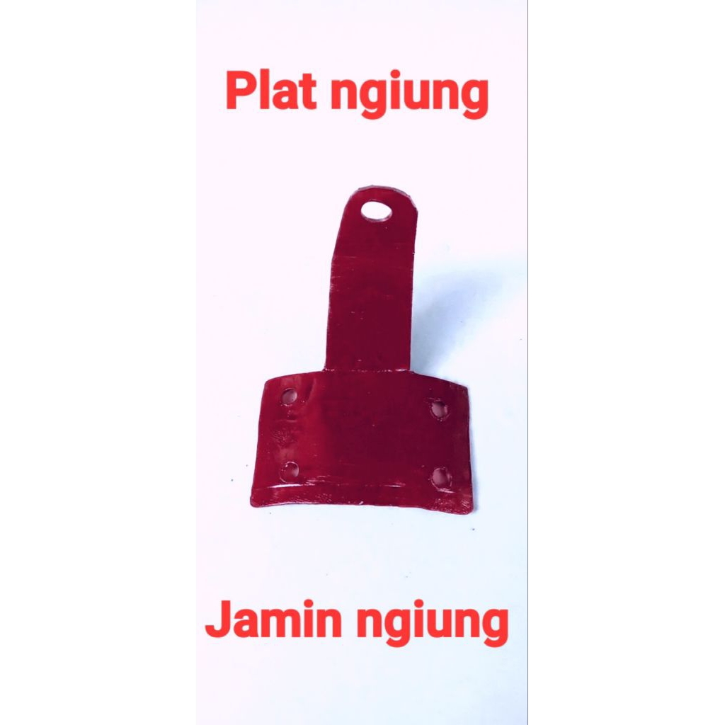 plat ngiung motor beat