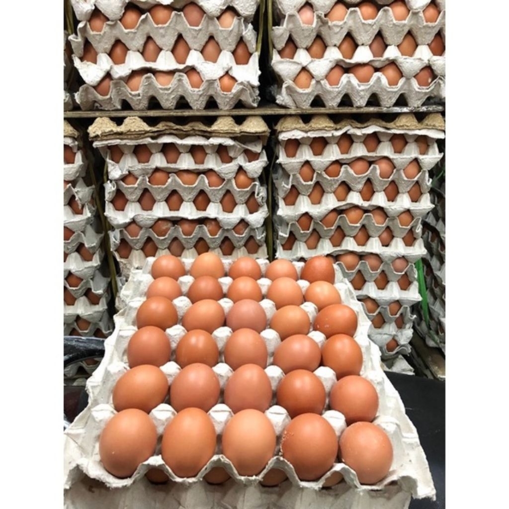 1kg + ¼ ( PAITON-PROBOLINGGO)Telur Ayam Negeri Segar - Fresh & Praktis