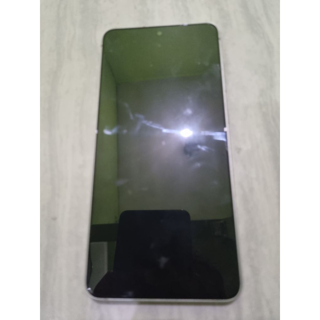 lcd s21fe minus garis
