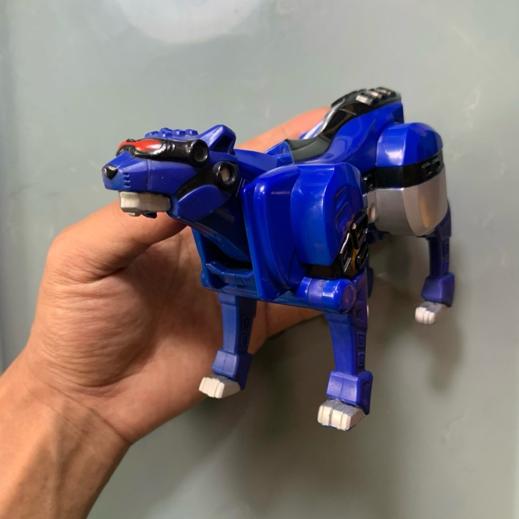 jaguar blue jungle fury