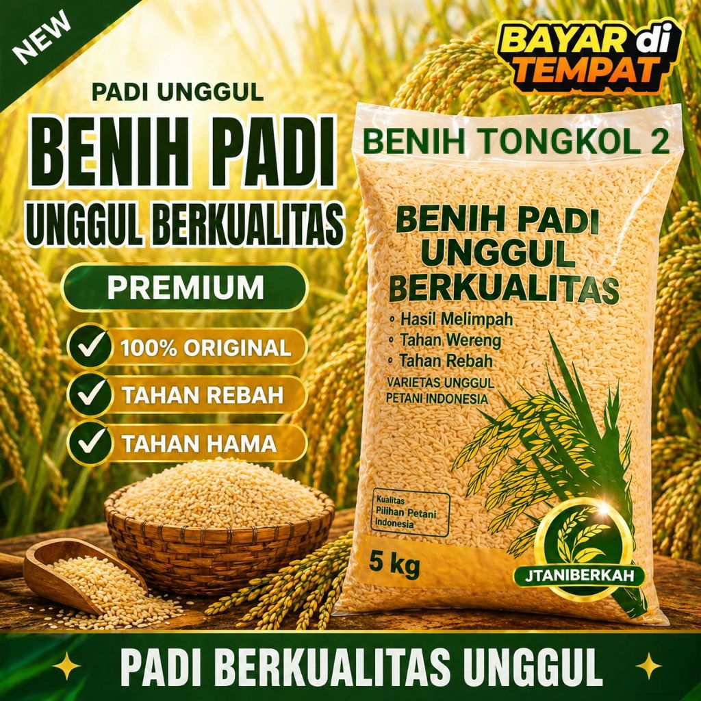 BENIH PADI TONGKOL 2 ORIGINAL KEMASAN 5KG
