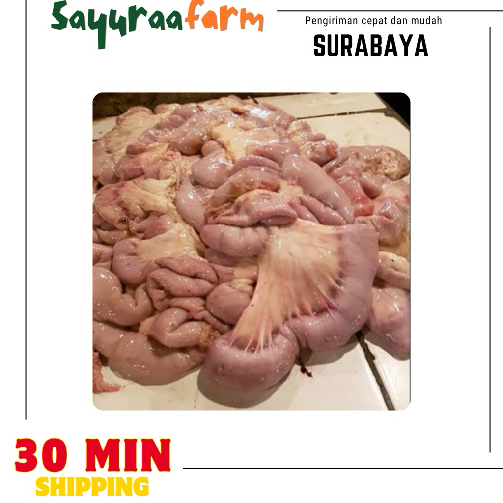 Usus sapi fresh - usus 250gr