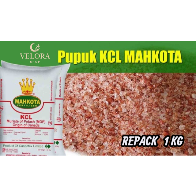 Pupuk KCL Mahkota Repack 1kg - Pembuahan & Bobot Buah