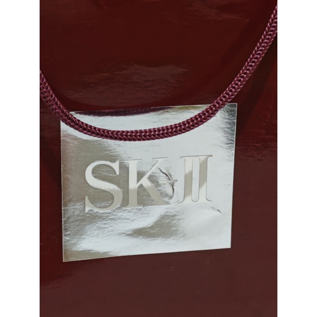 Paper Bag SkII / paper bag