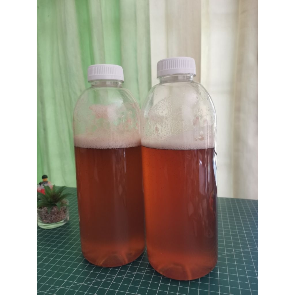 Madu Sialang Original Sumatera Selatan