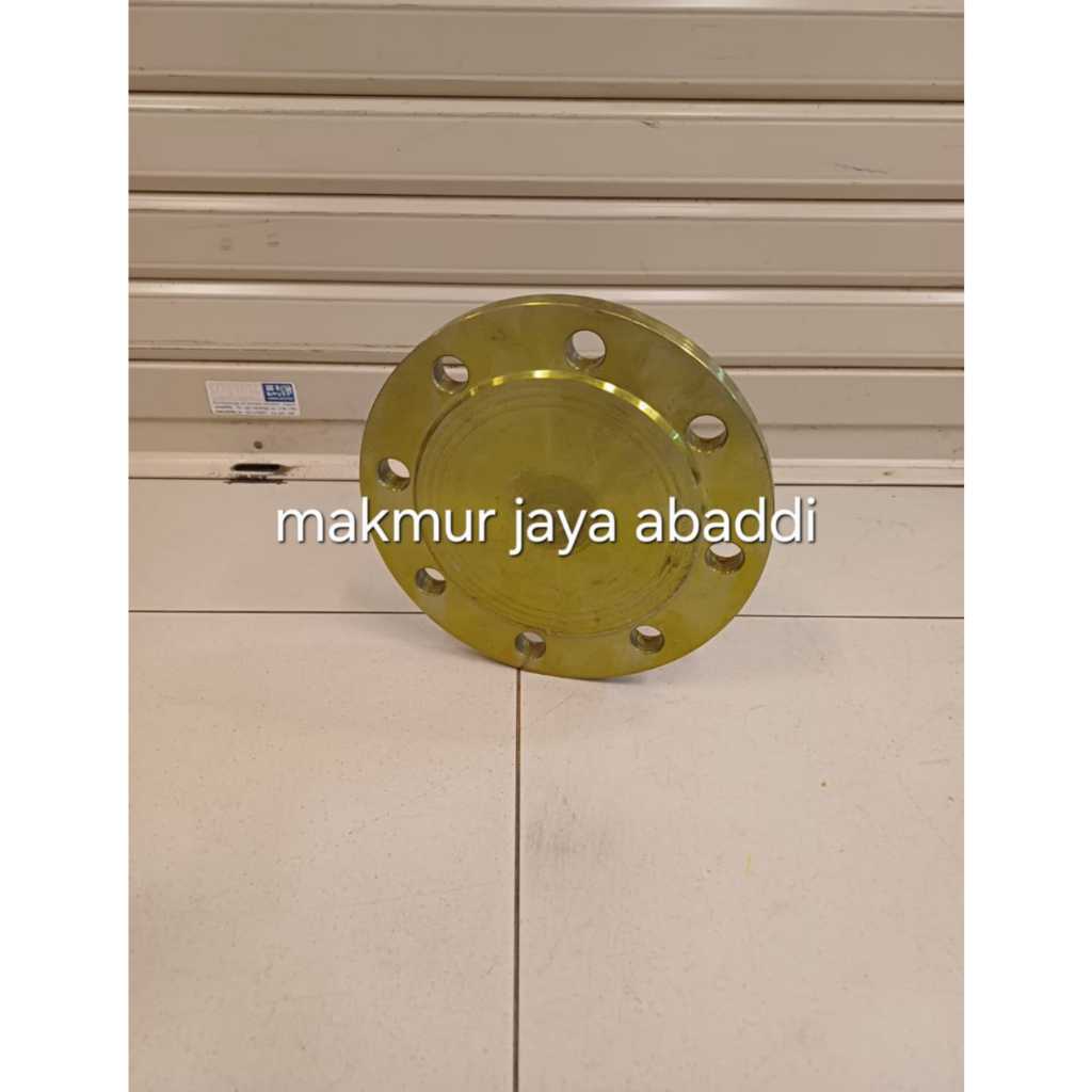 Blind flange carbon steel 12'' inch dn300 pn10 blind flange besi 12'' inch pn10