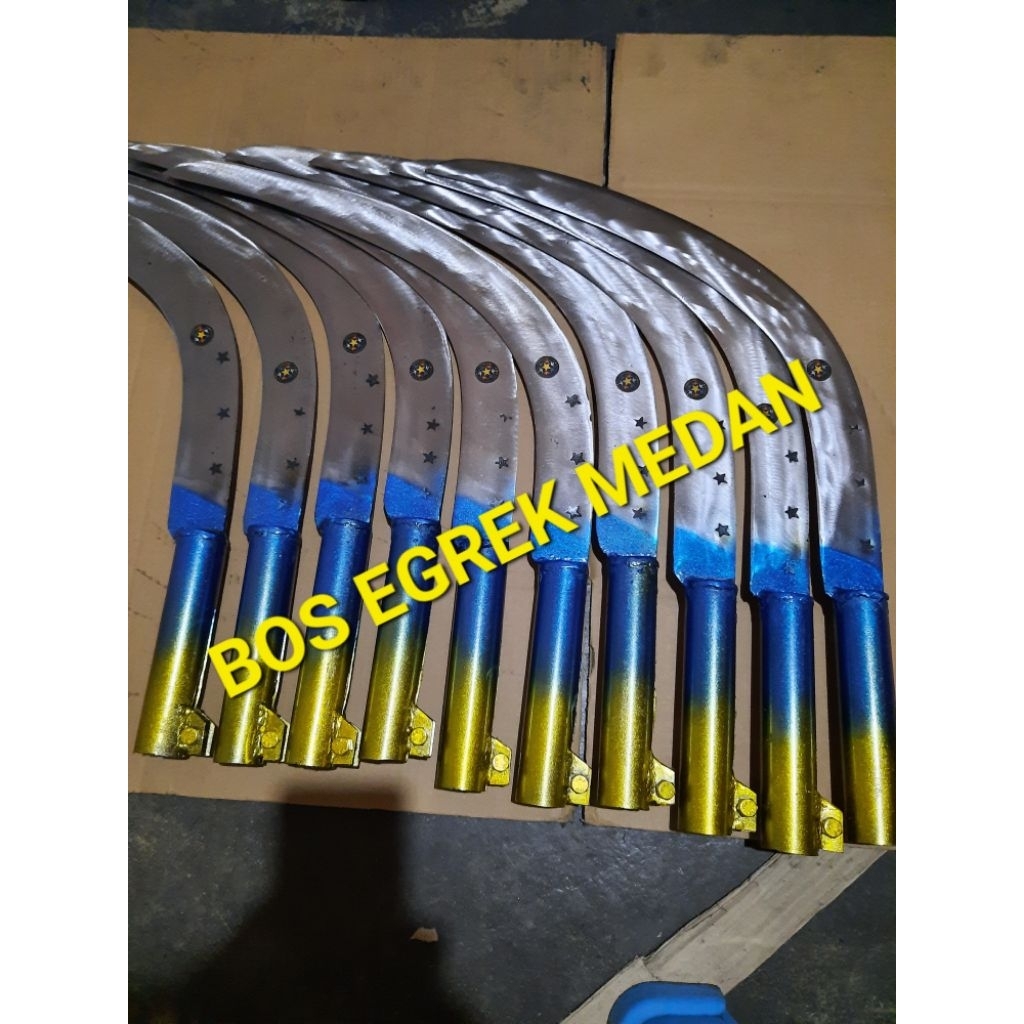 EGREK BINTANG MEDAN KOLONGAN