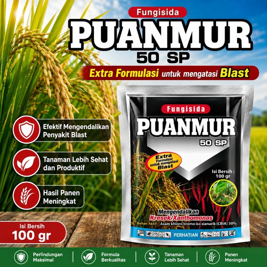 fungisida/bakterisida PUANMUR 50 SP ampuh mengendalikan kresek daun padi