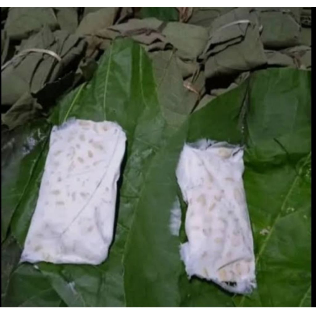 TEMPE BUNGKUS DAUN JATI ISI 10 PCS