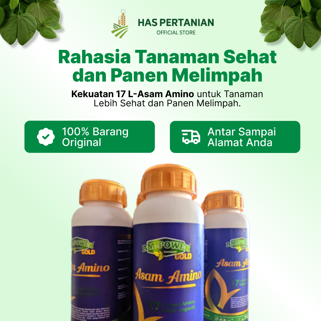AM Power Gold Nutrisi Lengkap, Tanaman Lebih Kuat