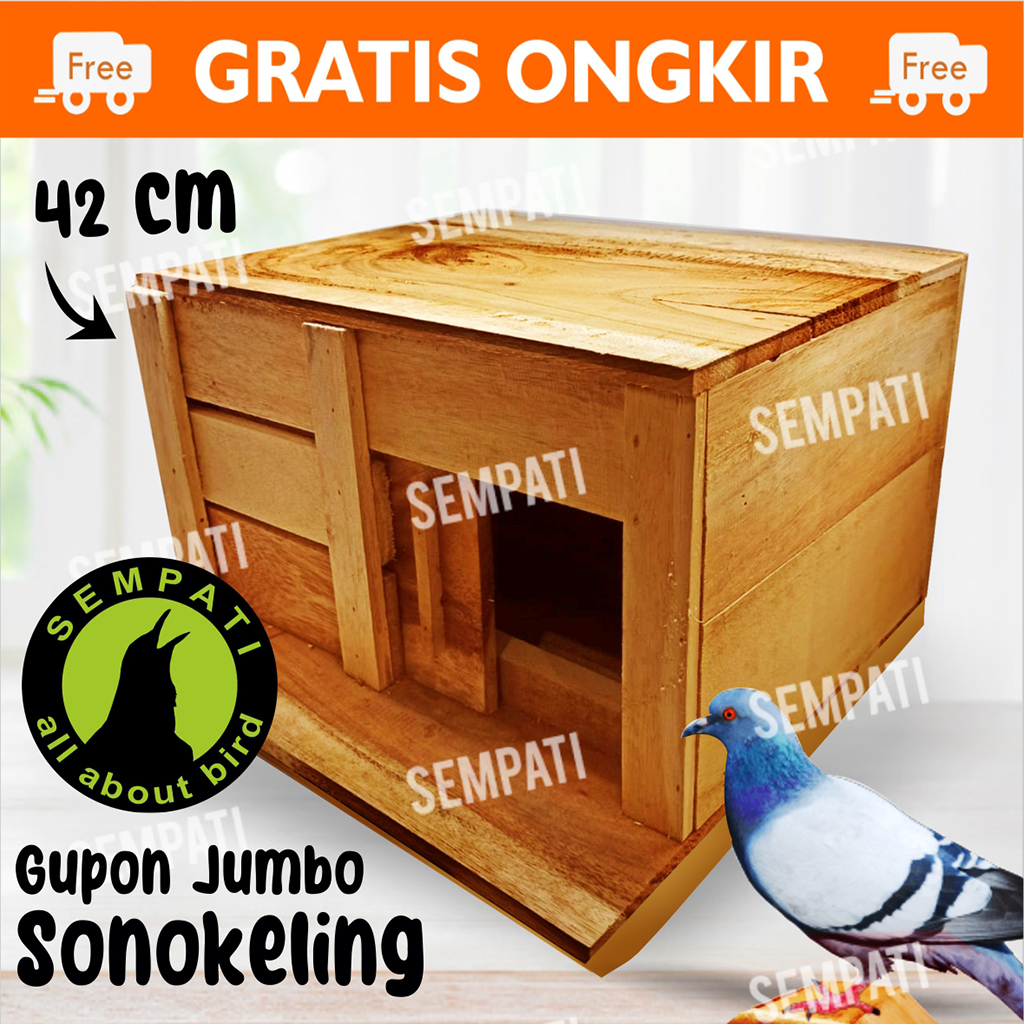 SEMPATI
 KANDANG TONG GUPON PAGUPON BURUNG MERPATI DORO DARA KOLONGAN BALAP TOMPRANG SANGKAR SARANG 