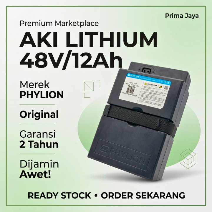Aki Lithium Sepeda Listrik Phylion Original Garansi 2 Tahun Universal Baterai Lithium | Aki Sepeda L