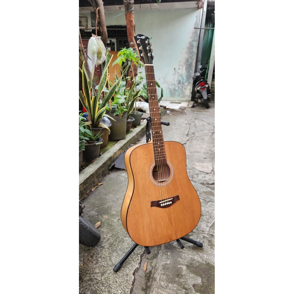 gitar costom cowboy gwc 240 ns