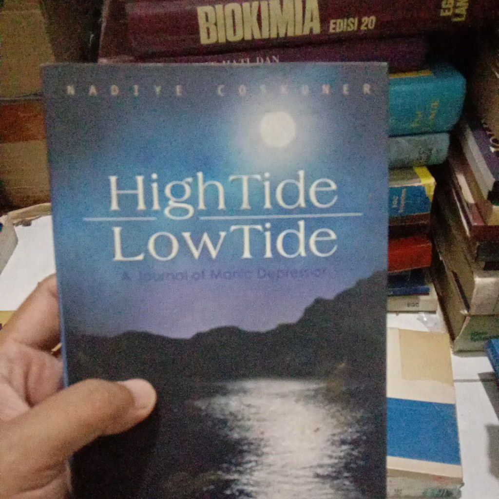 High Tide - Low Tide a jurnal of manic depression