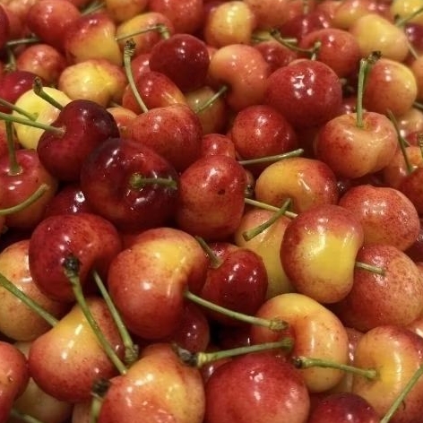 Cherry golden import manis | buah ceri gold | 1kg