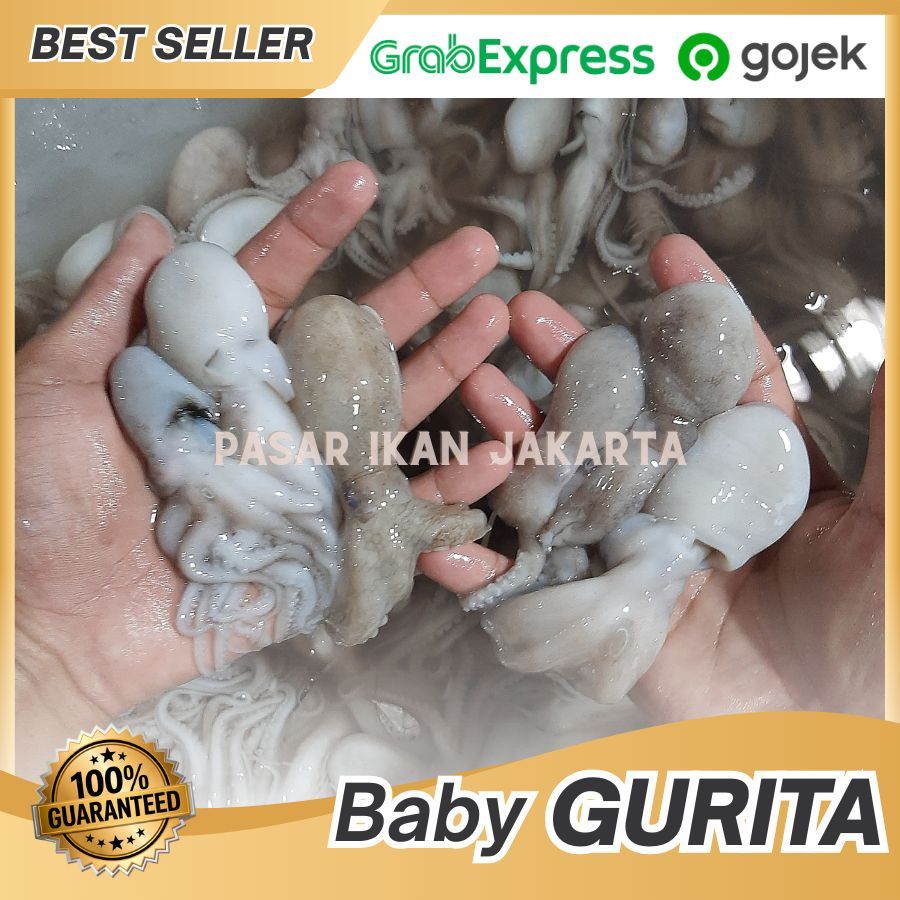 BABY OCTOPUS 1Kg / Baby gurita segar / Baby octopus