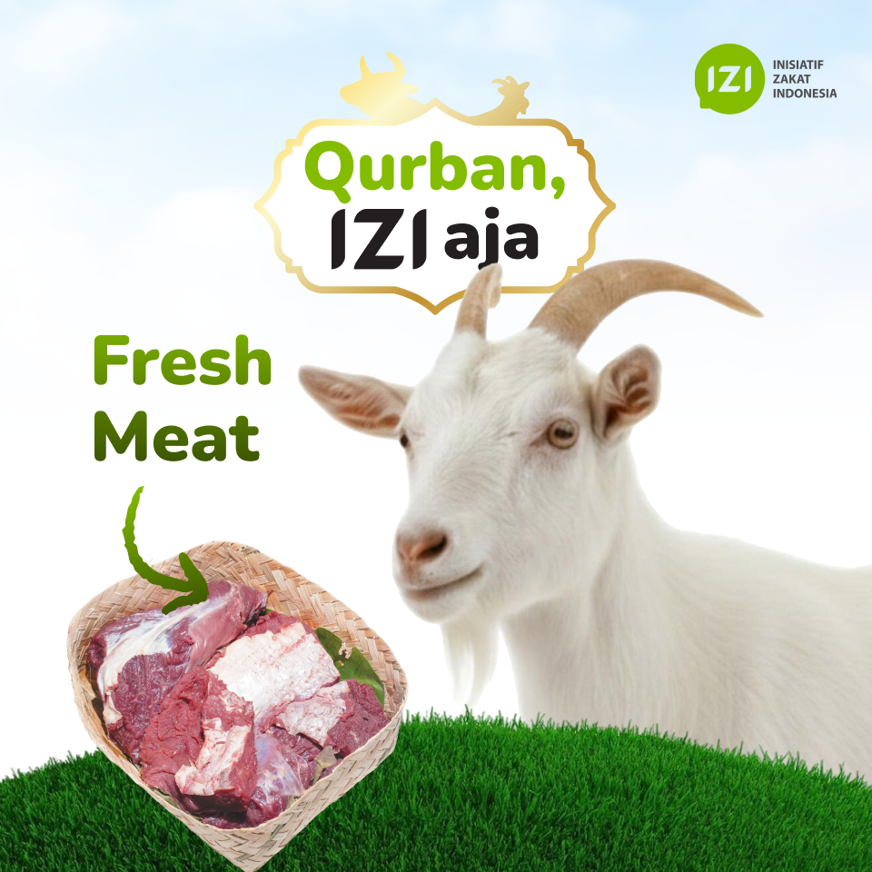 Qurban IZI - 1 Ekor Kambing Fresh Meat