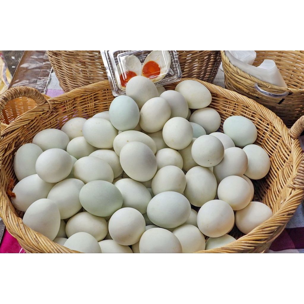 Telur Bebek Mentah Segar dengan Kuning Telur Omega Orange