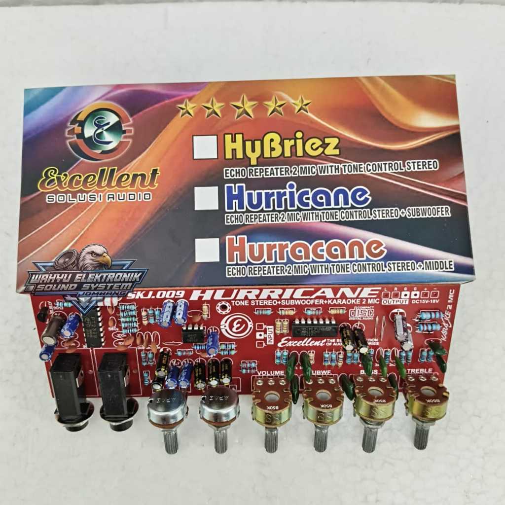 STEREO TONE CONTROL HYBRIS + ECHO DIGITAL + SUBWOOFER + 2mic