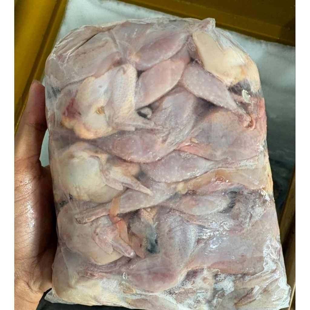BURUNG PUYUH FROZEN 1KG