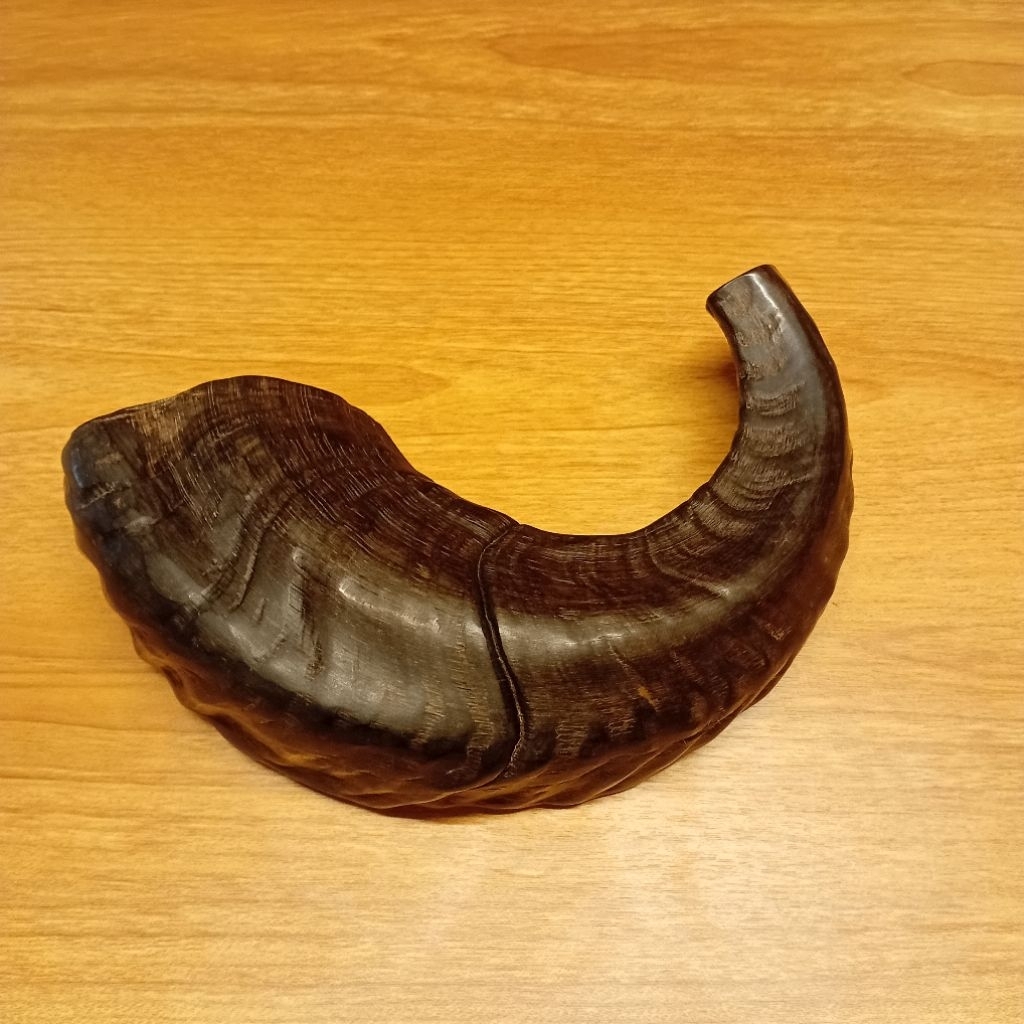shofar 12 inch