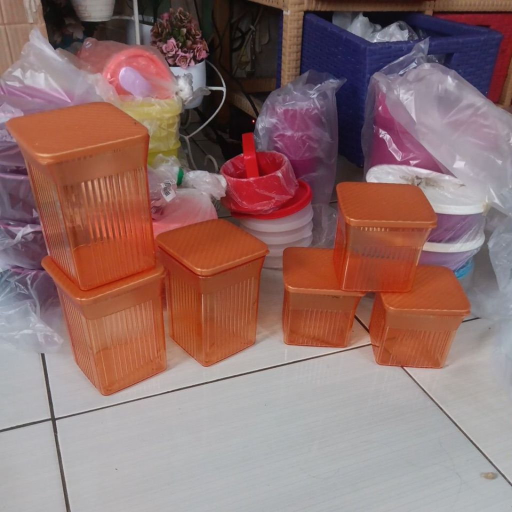 family mate mini eleganzia, clear mate tupperware
