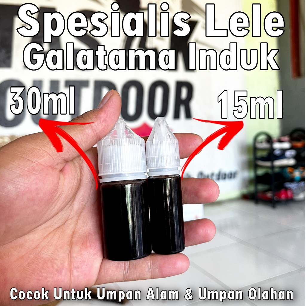 Essen Ikan Lele Aroma Blenok Amis Paling Gacor, Essen Ikan Lele Galatama Paling Gacor, Essen Ikan Le