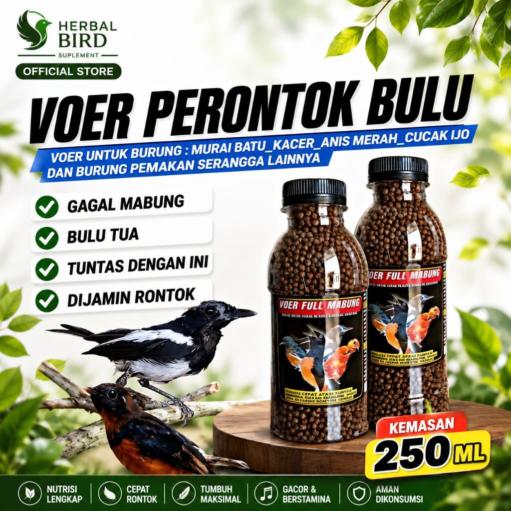 REKOMENDASI 250 ML VOER PERONTOK BULU FULL MABUNG TUNTAS UNTUK MURAI BATU kacer Anis merah cucak ijo