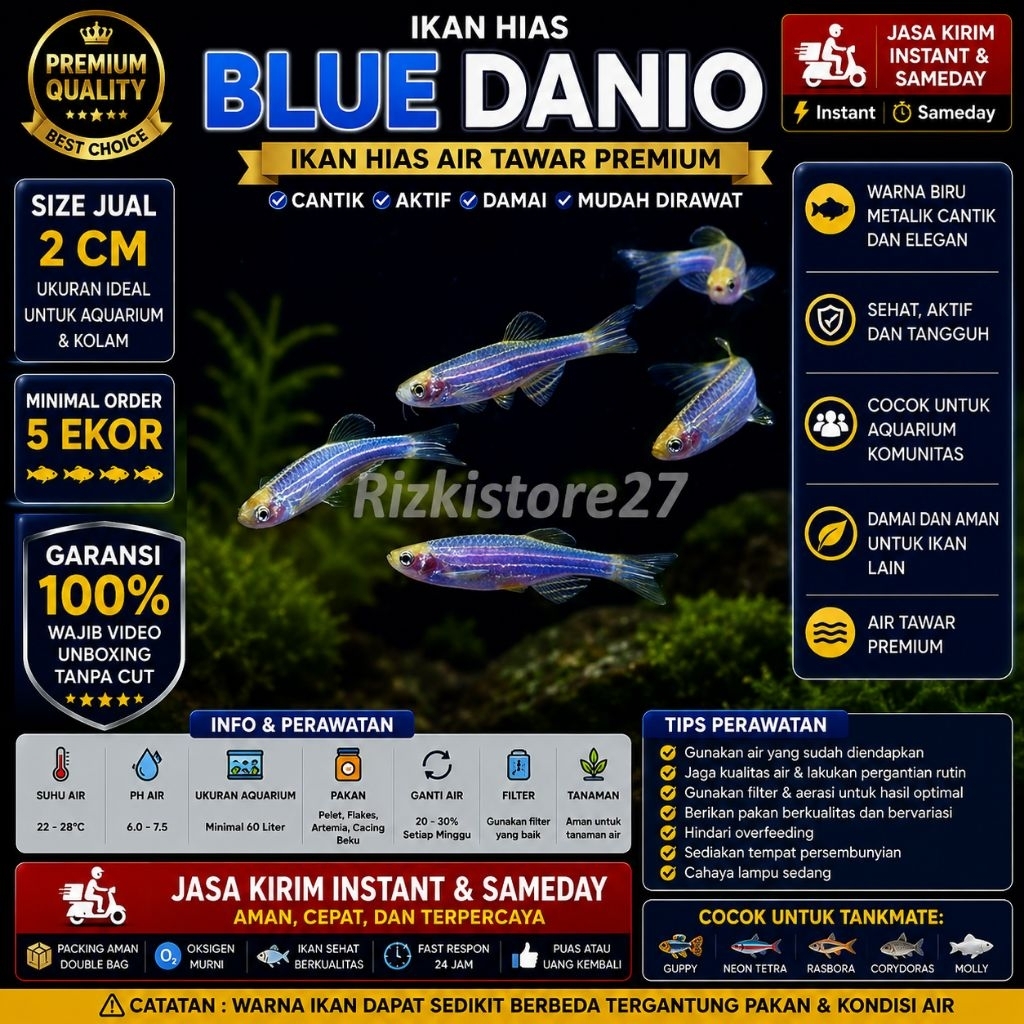 Ikan Hias Blue Danio Size 2 Cm Zebra Danio Biru Aquarium Aquascape Air Tawar