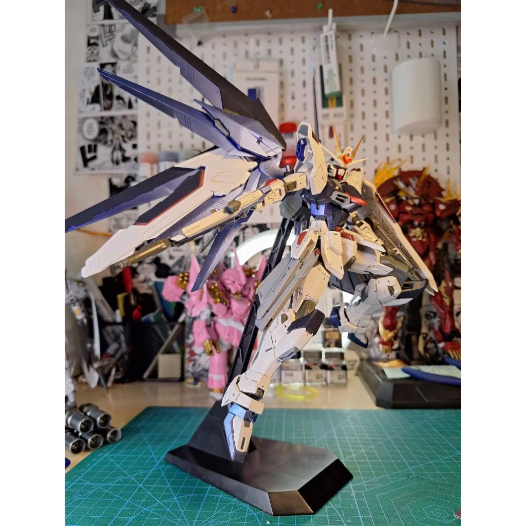 MG Freedom v2.0 bandai repaint metalic