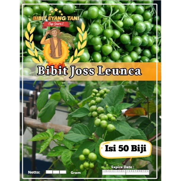 Bibit Joss Leunca | Biji Benih Leunca | LEUNCA