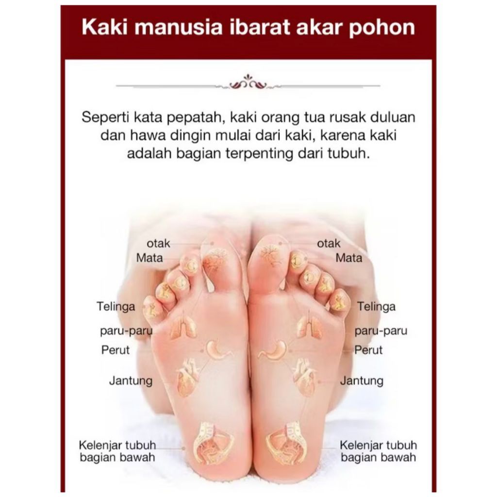 Kaos Kaki Pijat Massage Socks Therapy, DanTerapi Pijat Kaus Kaki Titik Pijat Kaki