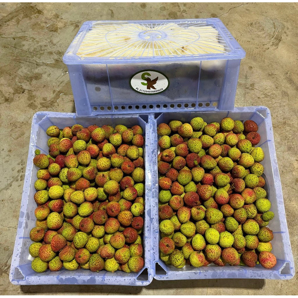 Leci Madu Manis Segar 1 kg