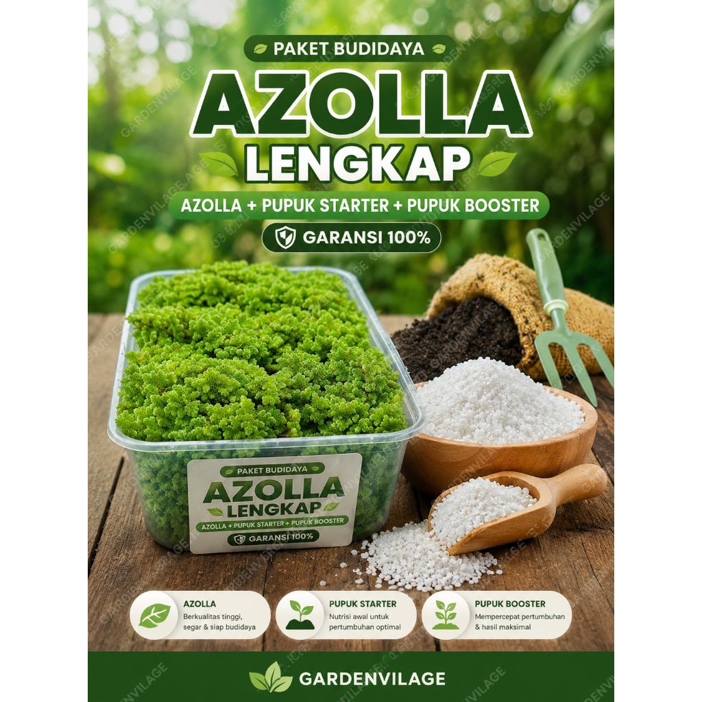 Paket Budidaya Azolla Lengkap | Azolla + Pupuk Starter + Pupuk Booster | Garansi 100%
