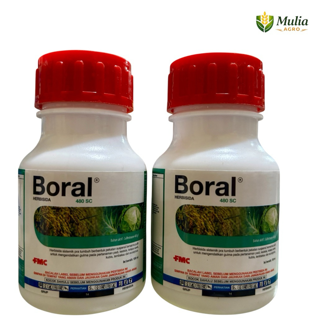 BORAL 480SC 100ml - Herbisida Sistemik Selektif Boral 480sc