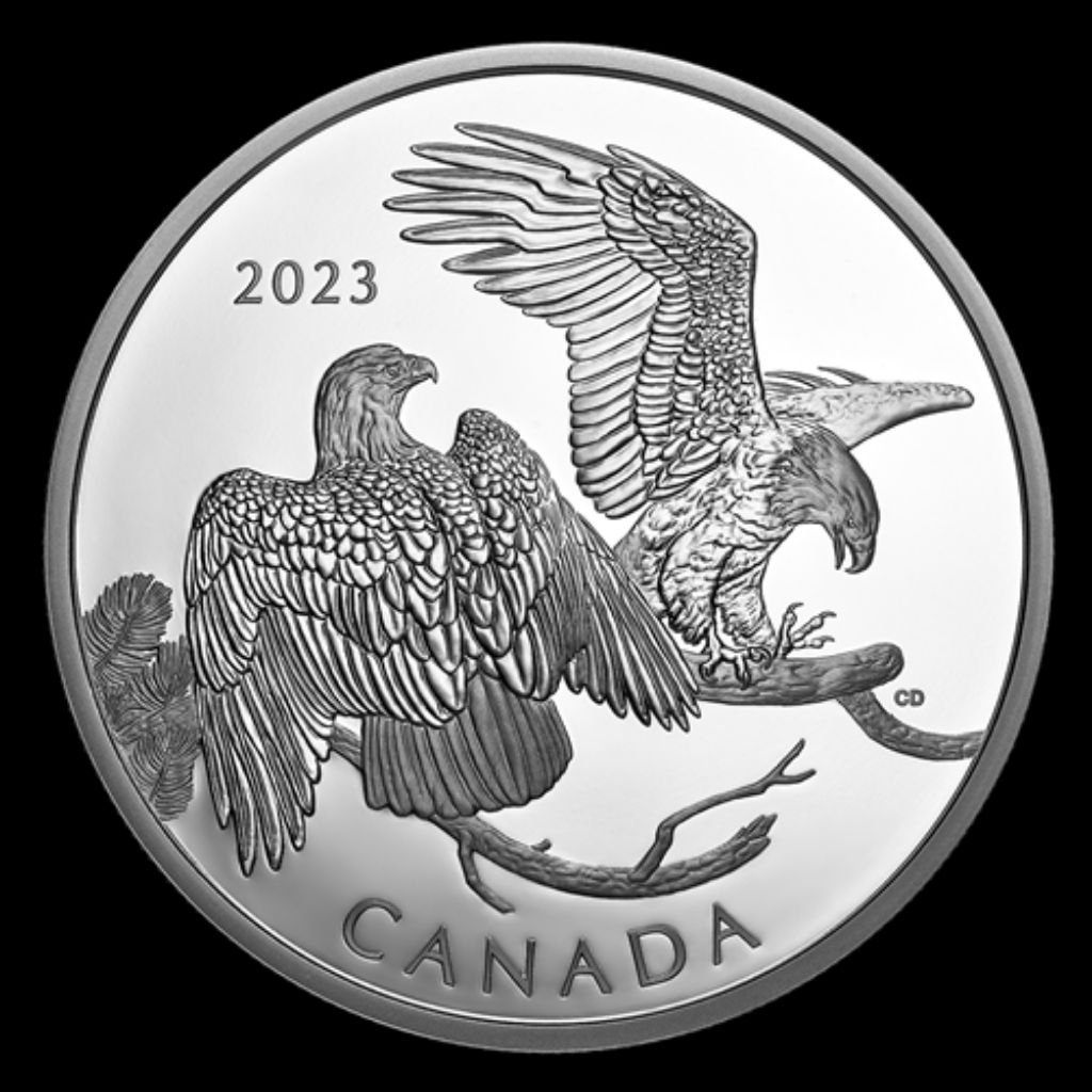 The Striking Bald Eagle 2 oz Silver Coin Canada 2023