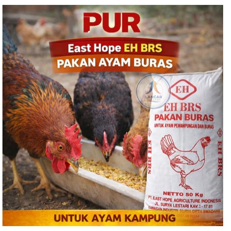 Pakan Ayam Buras East Hope P90 1 kg - Tekstur Lezat, Nutrisi Optimal, Mudah Diserap Kemasan Repack 2