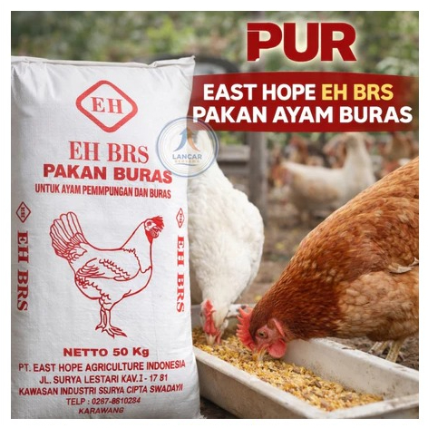 Pur Pakan Ayam Buras Isi 3 Pak Grower East Hope P90 Kemasan 1 Kilo