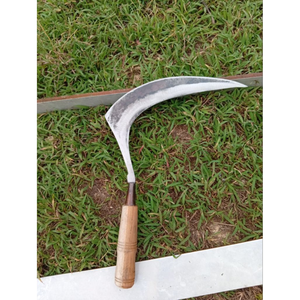 sabit siku baja khusus padi dan rumput