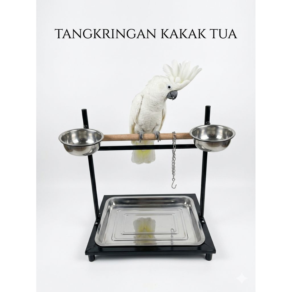 STAND TANGKRINGAN PARROT NURI KAKAK TUA MODEL DUDUK