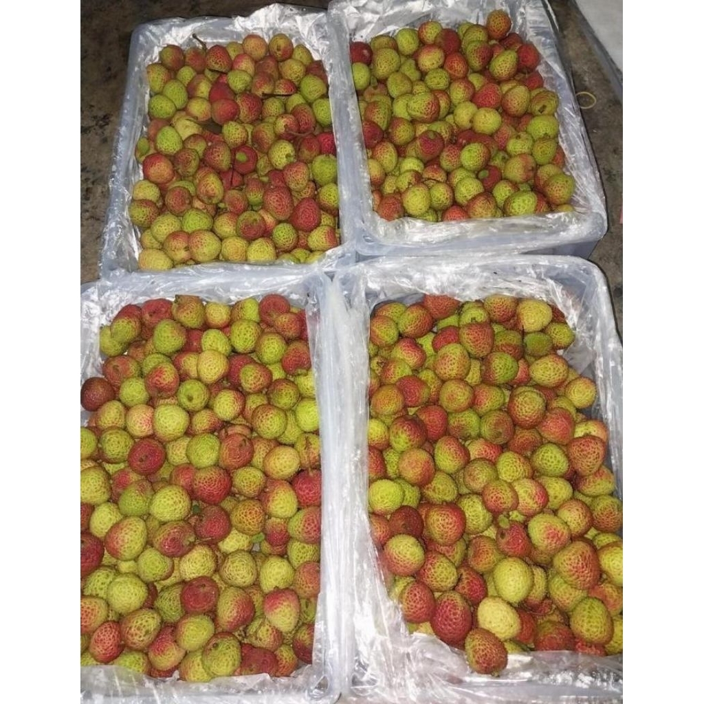 BUAH LECI MADU