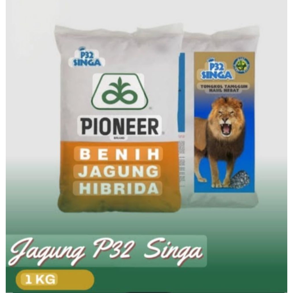 PIONEER P32 1kg benih jagung hibrida