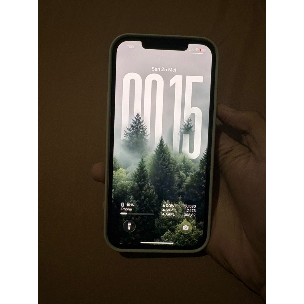Iphone 12 Pro Max iBox 256gb resmi