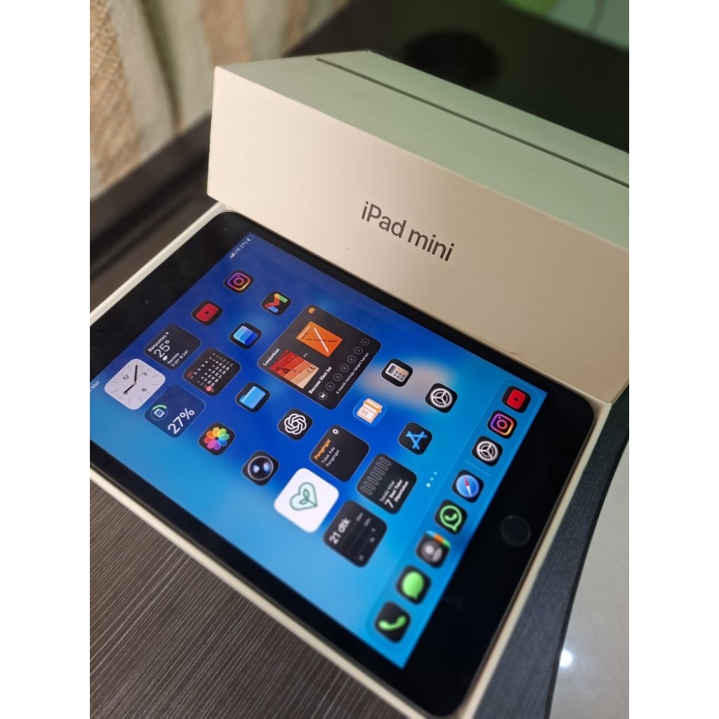 IPAD MINI 5 256GB SELULER Second Ex Ibox