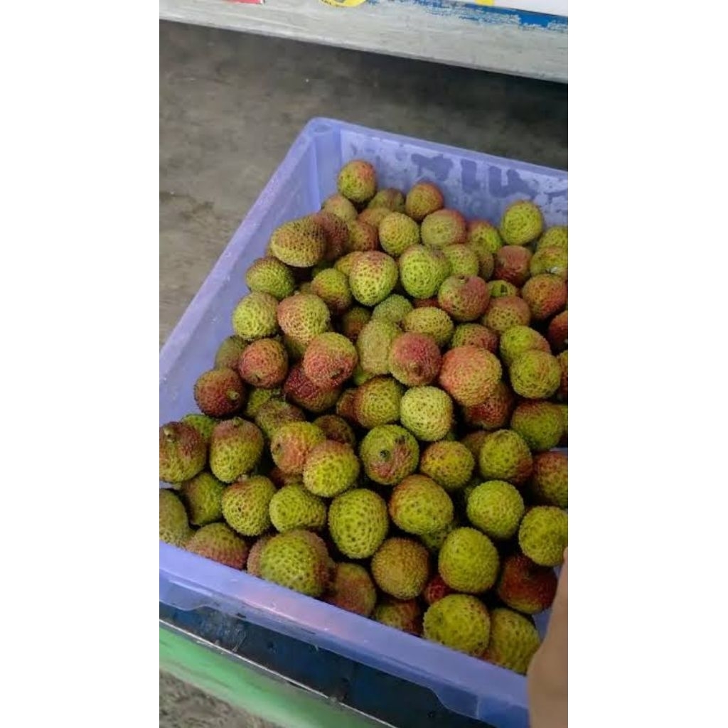 Leci Merah Madu Manis Segar 1000 Gram