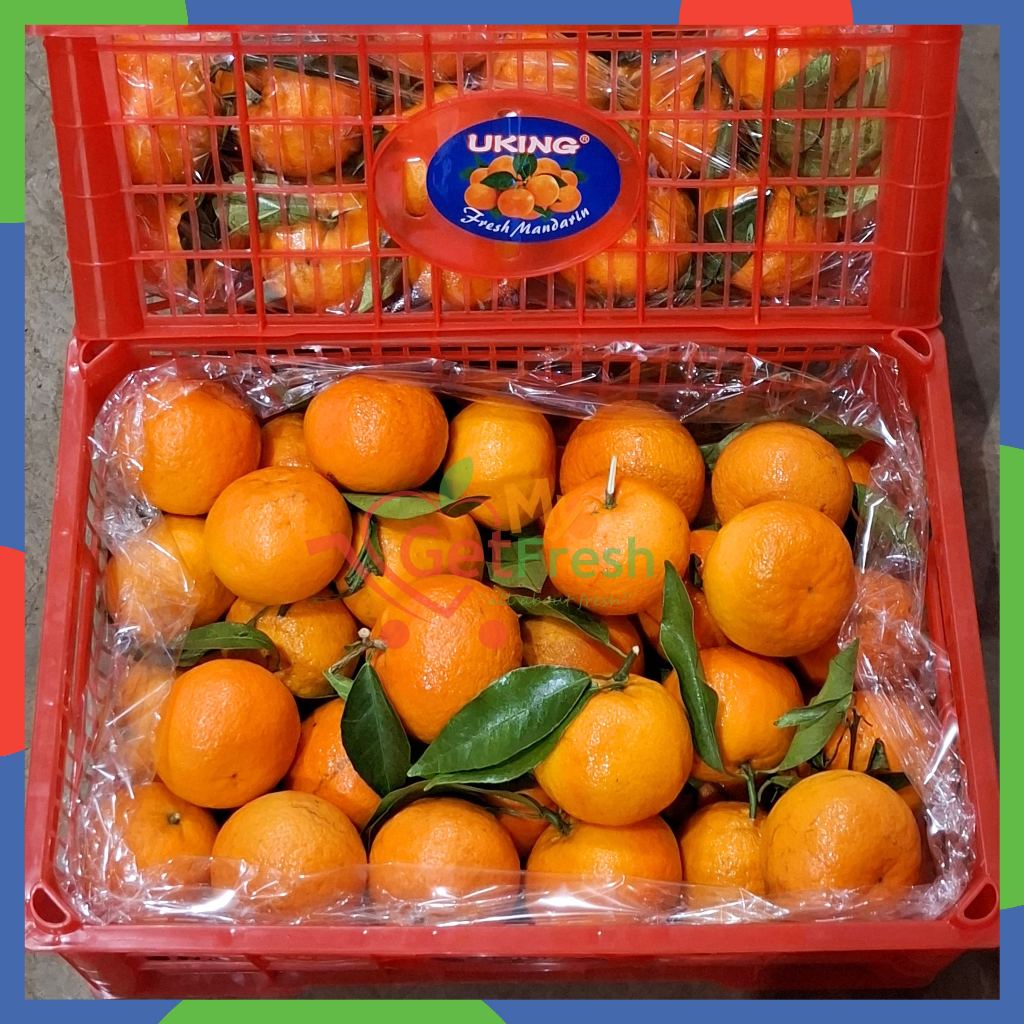 Jeruk RRC Baby Wokam Fresh Import Pack 900gr - 1kg