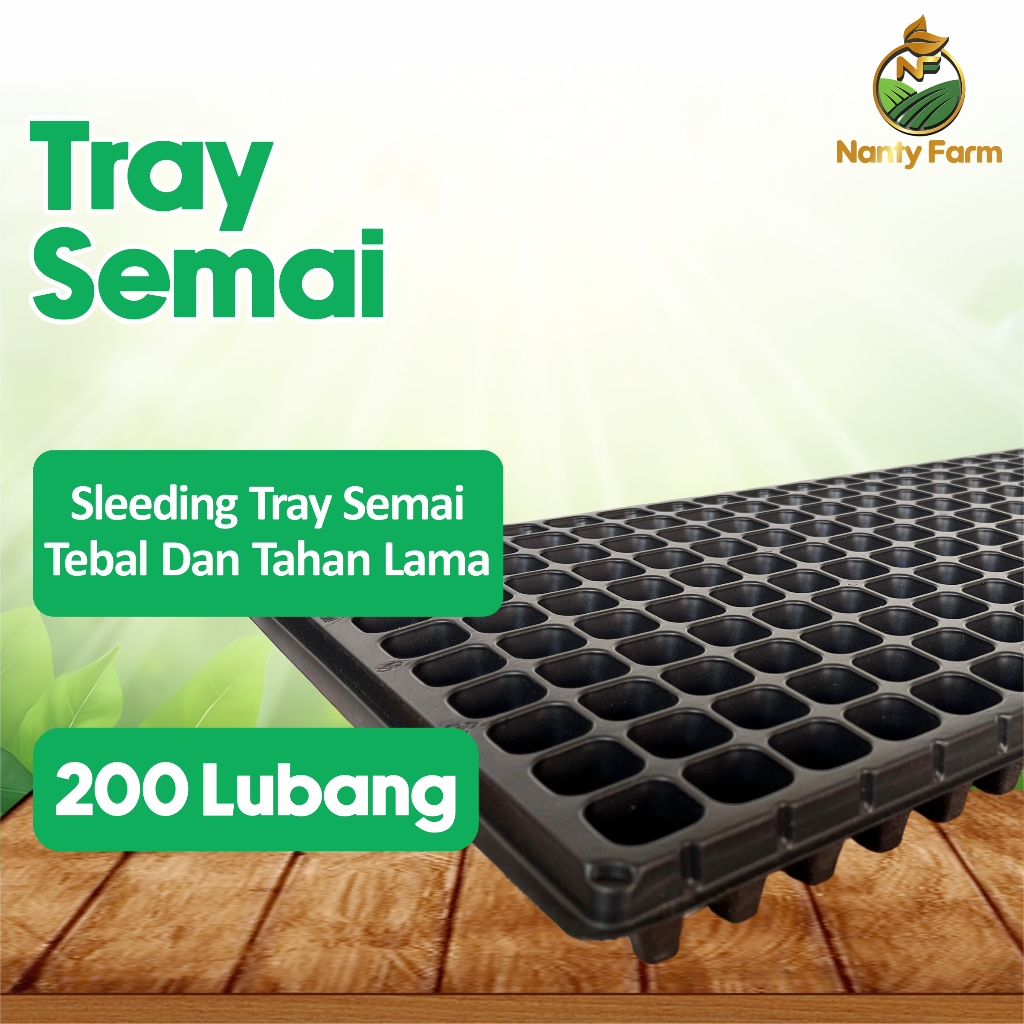 Tray Semai 200 Lubang Traypot Pot Bibit Biji Tray Nampan- Tray Semai 200 Lubang