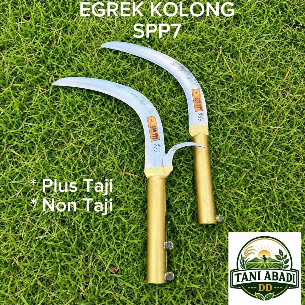 EGREK sawit kolong. SPP7