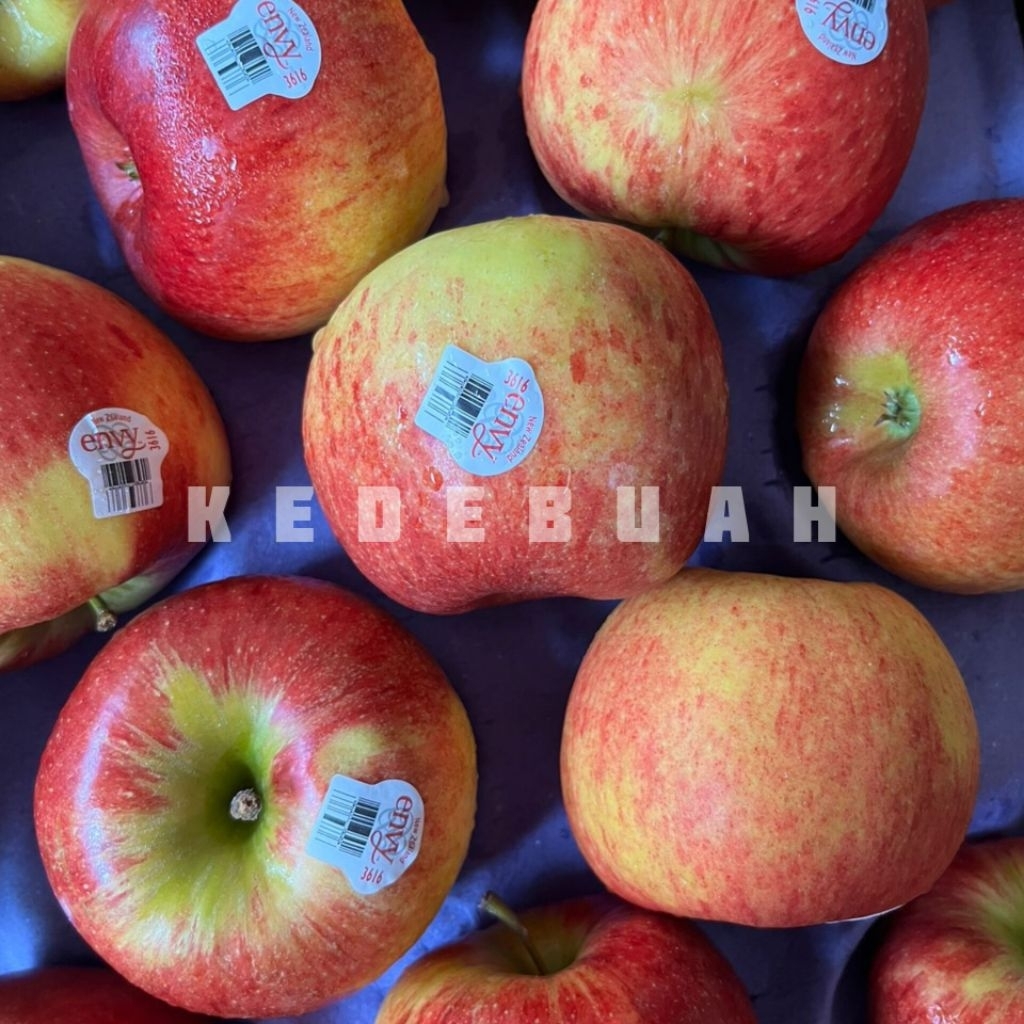 Apel Envy Jumbo New Zealand 1 Kg
