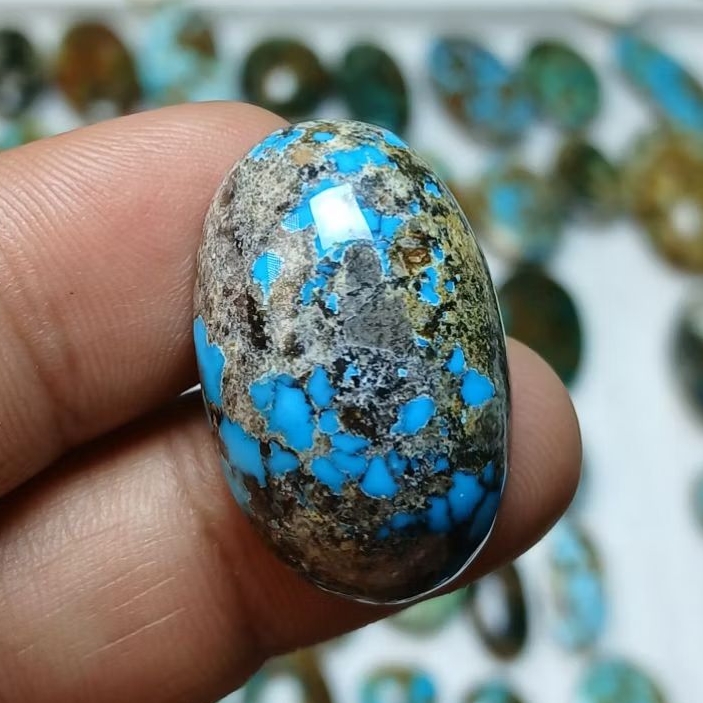 pirus persia biru ceplok
